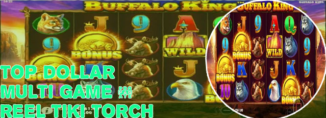 Free tiki torch slots